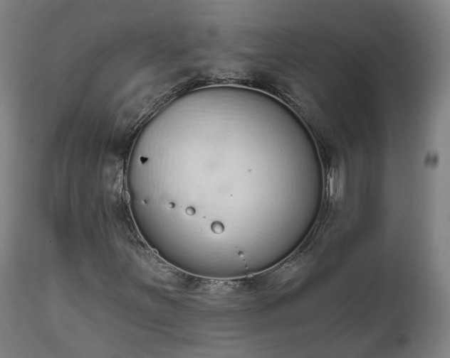 X0000112501251200908241341