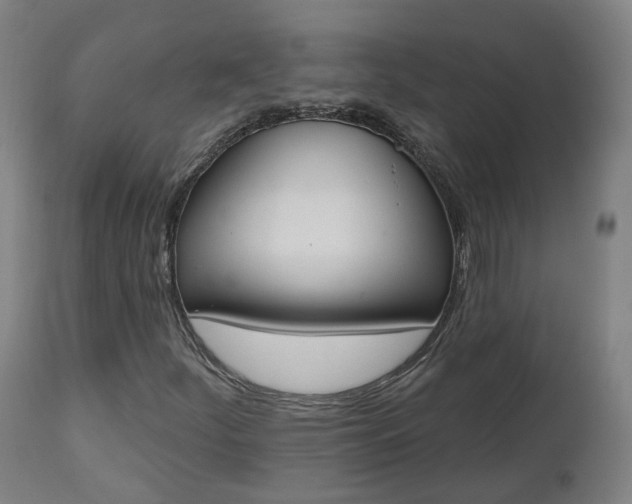 X0000112501252200908241341