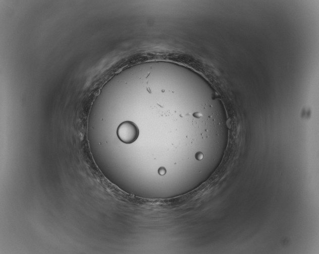 X0000112501253200908241341