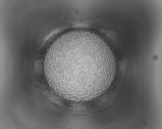 X0000112501254200908241341