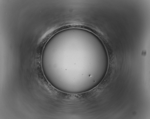 X0000112501255200908241341