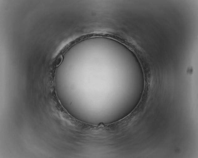 X0000112501256200908241341