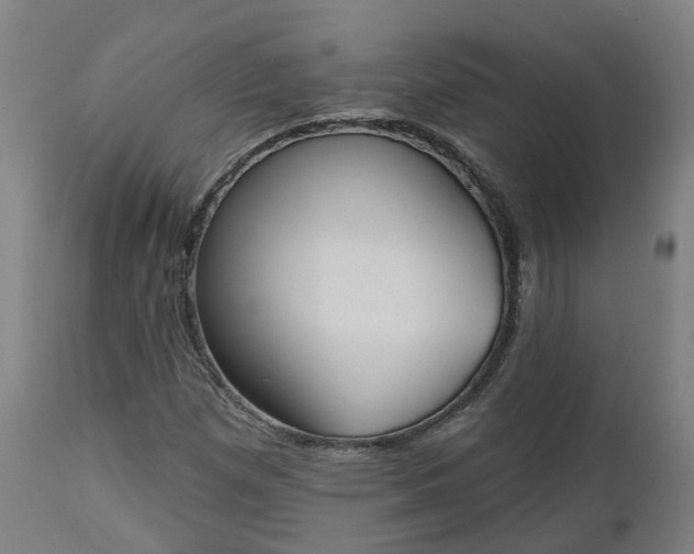 X0000112501257200908241341