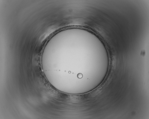 X0000112501258200908241341