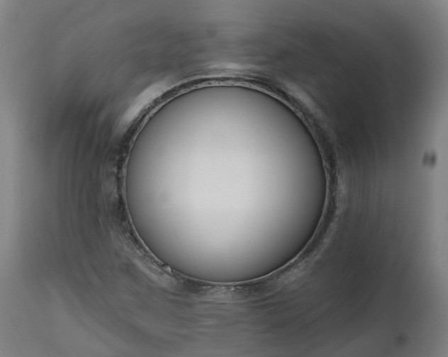 X0000112501259200908241341