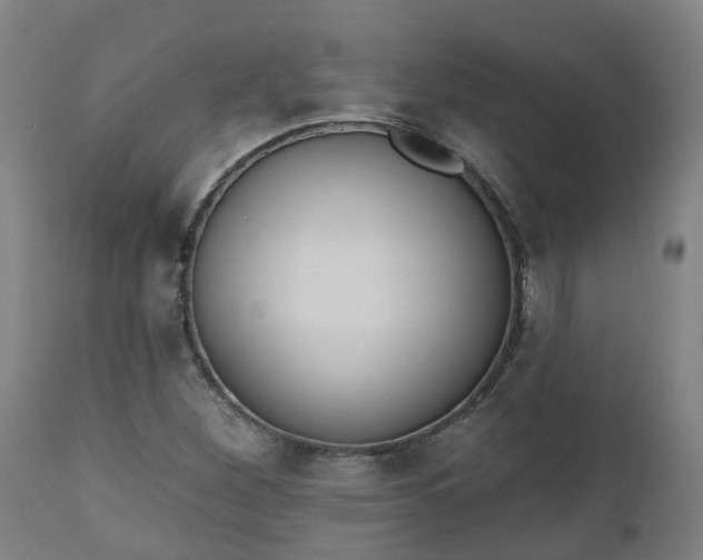 X0000112501260200908241341