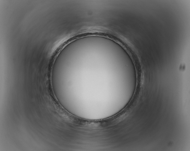 X0000112501261200908241341