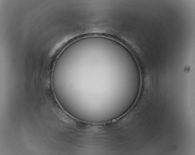 X0000112501262200908241341