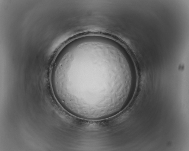 X0000112501263200908241341