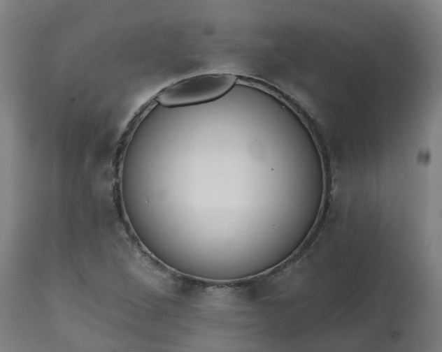 X0000112501264200908241341