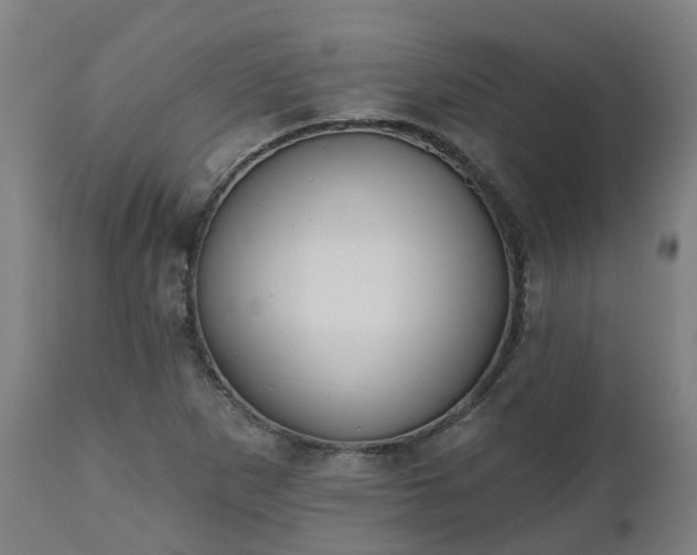 X0000112501265200908241341