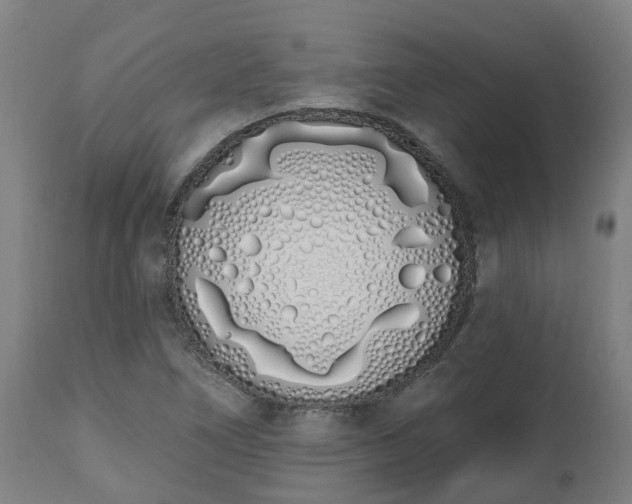 X0000112501266200908241341