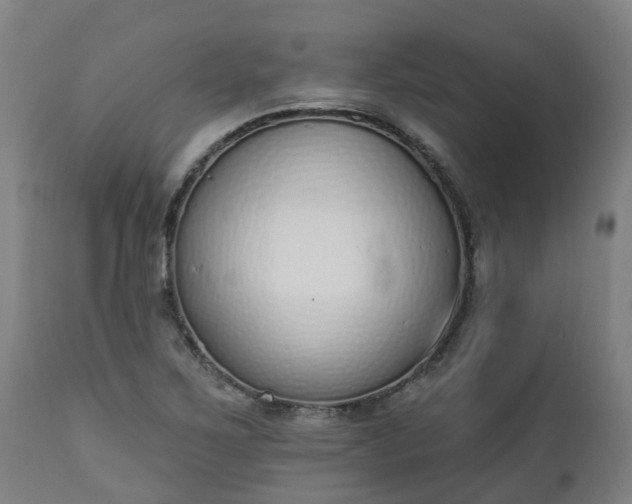 X0000112501267200908241341