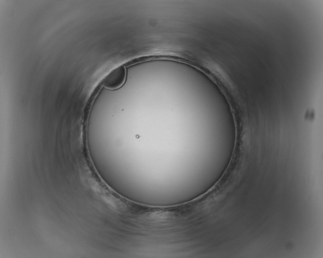 X0000112501268200908241341