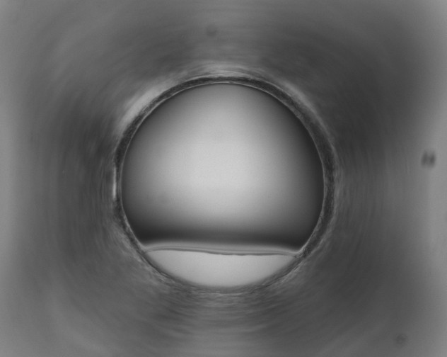 X0000112501269200908241341