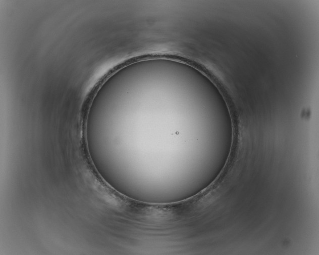 X0000112501270200908241341