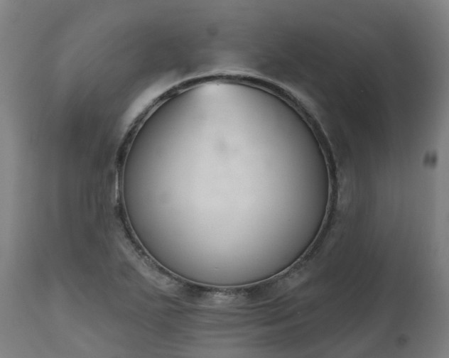 X0000112501271200908241341