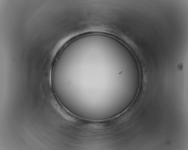 X0000112501272200908241341