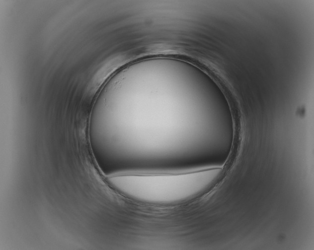 X0000112501273200908241341