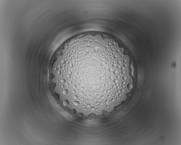 X0000112501274200908241341