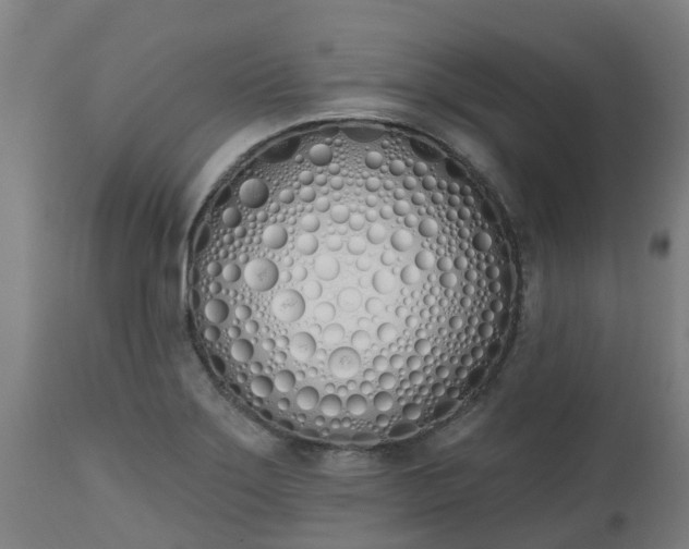 X0000112501275200908241341