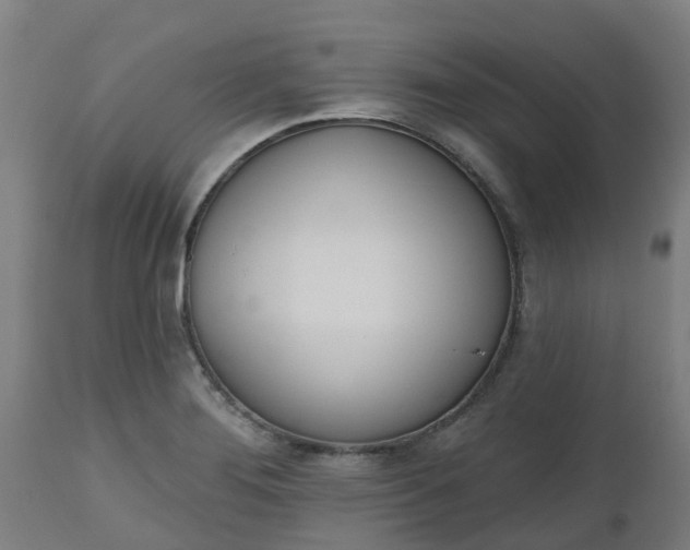 X0000112501276200908241341