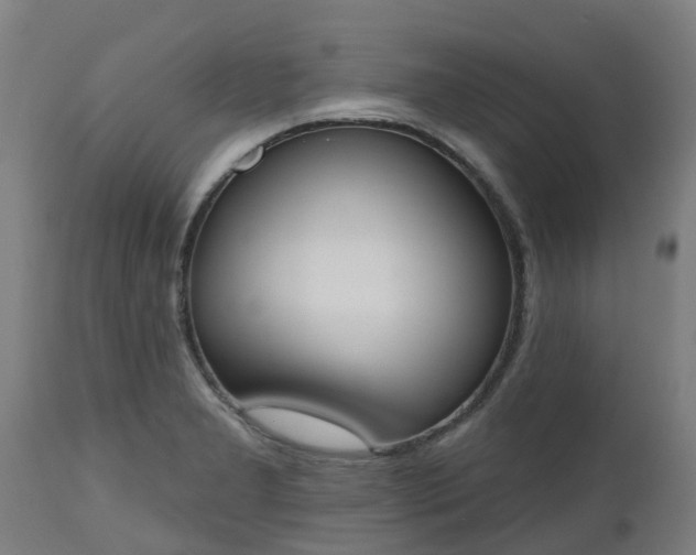 X0000112501277200908241341