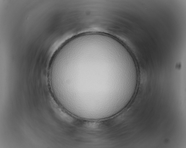 X0000112501278200908241341