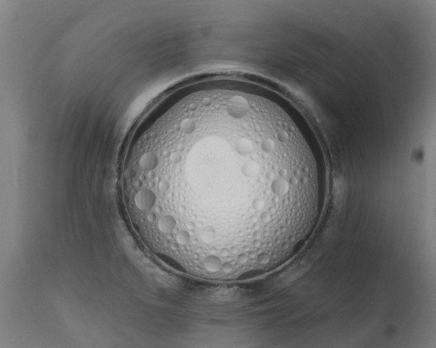 X0000112501279200908241341