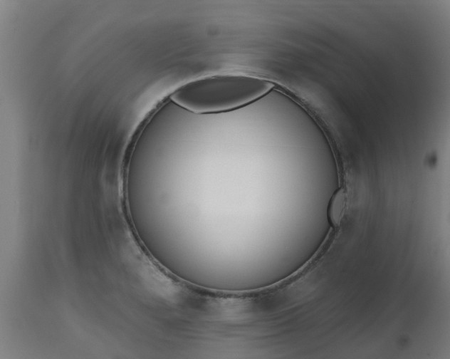 X0000112501280200908241341