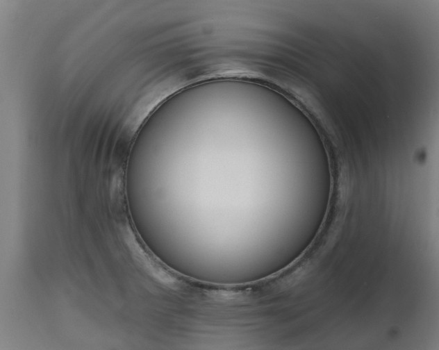 X0000112501281200908241341