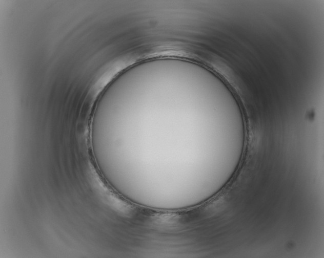 X0000112501282200908241341