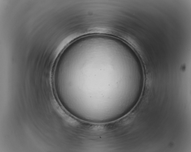 X0000112501283200908241341