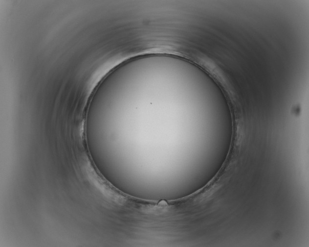 X0000112501284200908241341