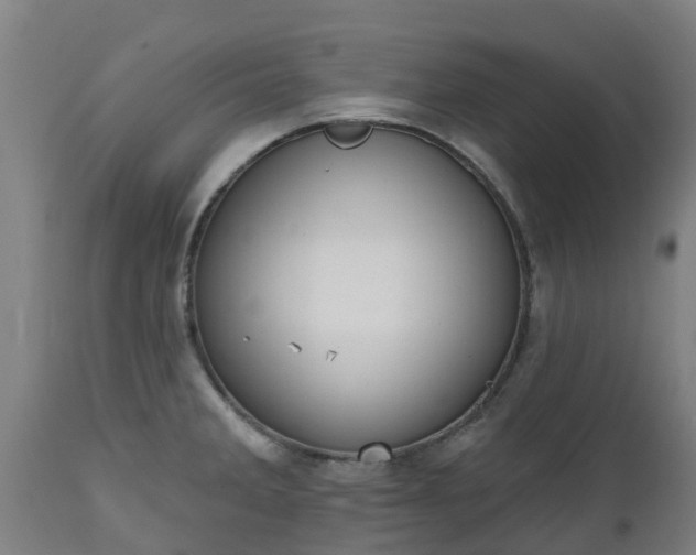 X0000112501285200908241340