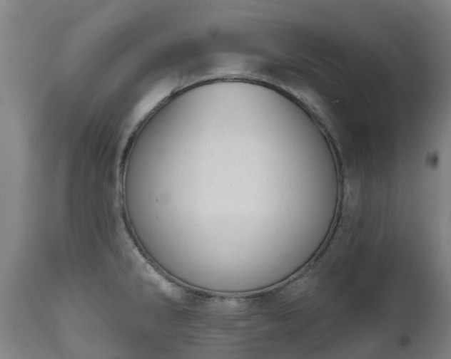 X0000112501286200908241340