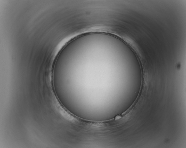 X0000112501288200908241340