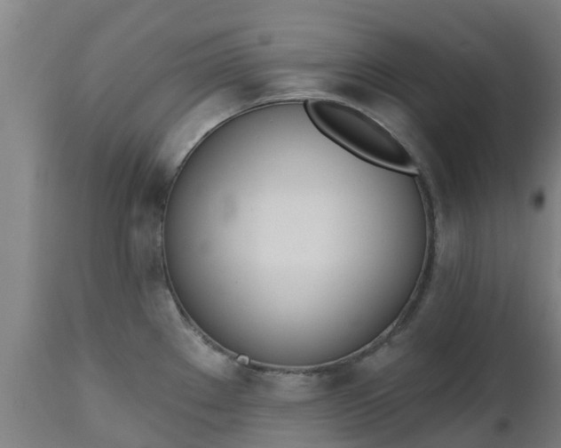 X0000112501289200908241340