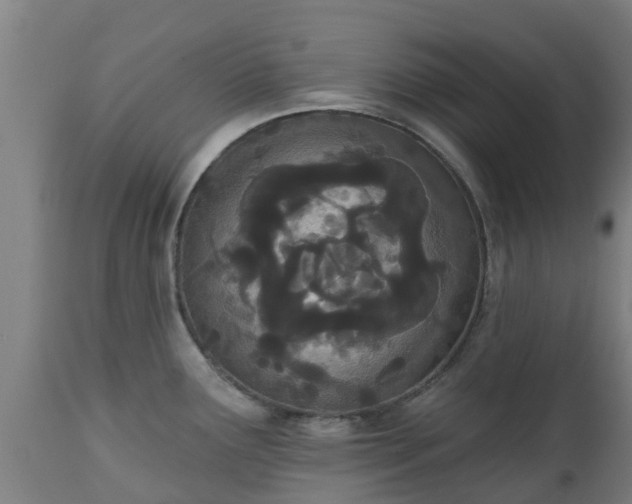 X0000112501291200908241340