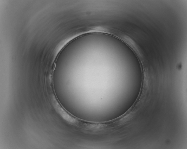 X0000112501292200908241340