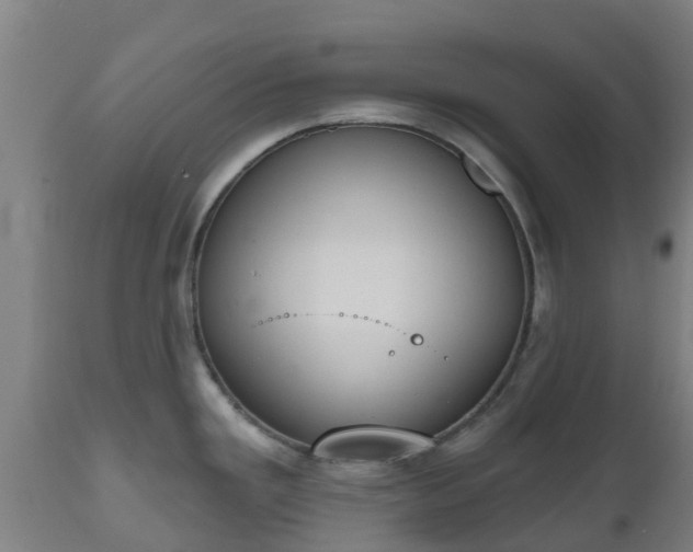 X0000112501293200908241340