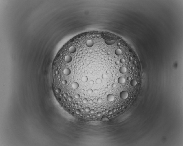 X0000112501295200908241340