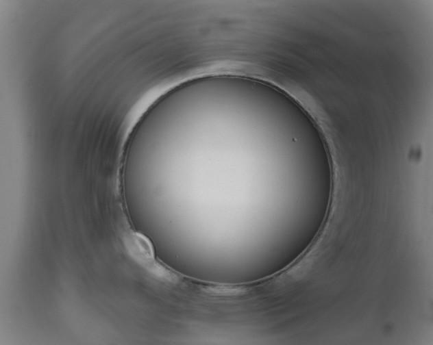 X0000112501296200908241340