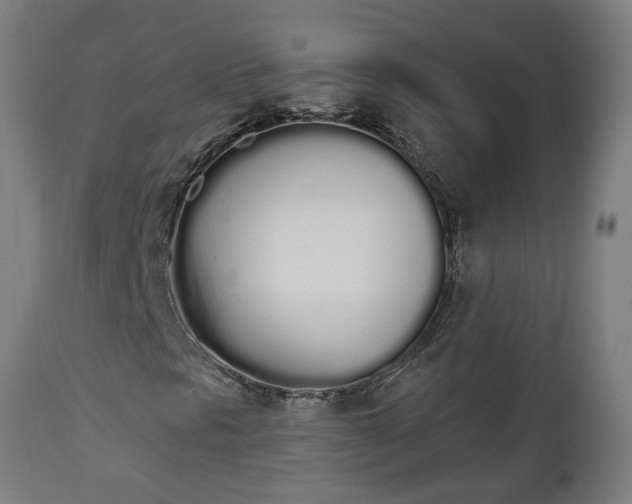 X0000112501297200908241339