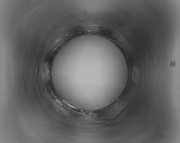 X0000112501298200908241339