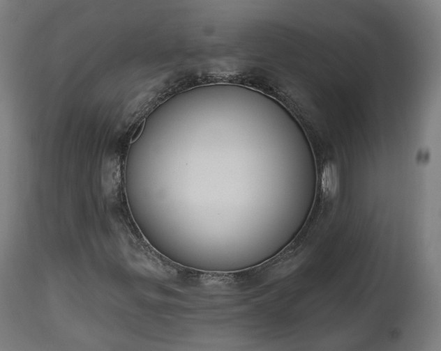 X0000112501299200908241339