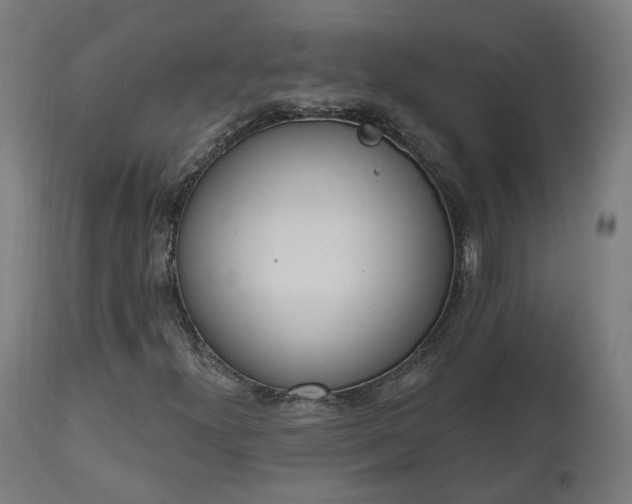 X0000112501300200908241340