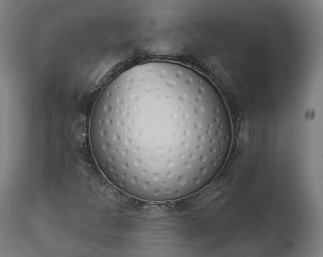 X0000112501301200908241340