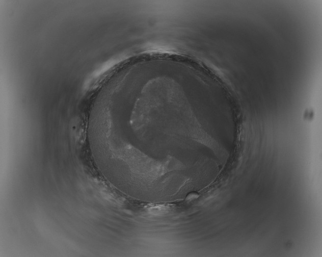 X0000112501303200908241340