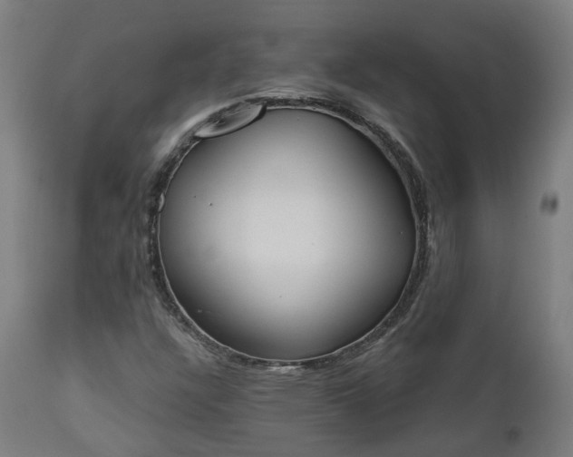 X0000112501304200908241340